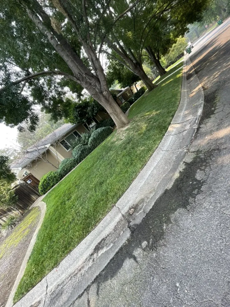 Professional lawn care service for residential properties in Gridley, CA by REP Landscape