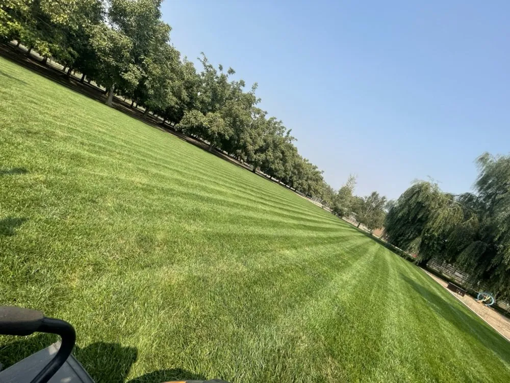 Custom landscape installation in Gridley, CA - REP Landscape