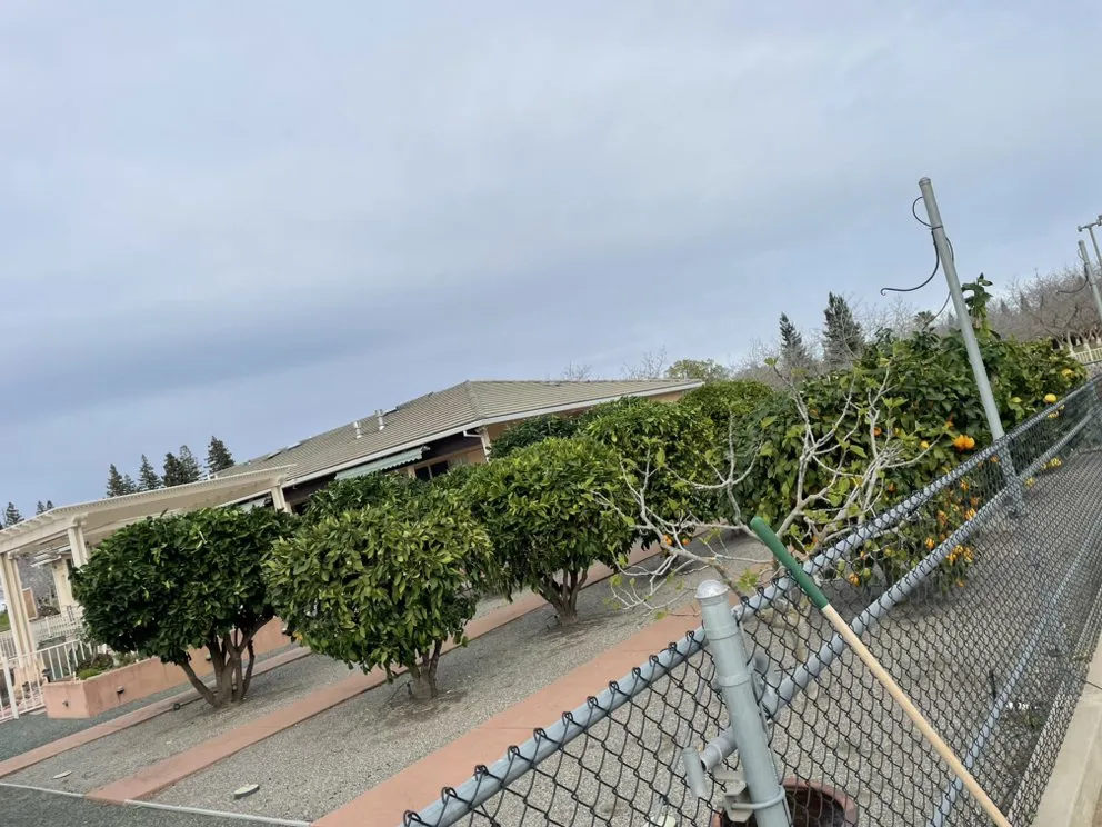 Affordable landscape design in Gridley, CA - REP Landscape