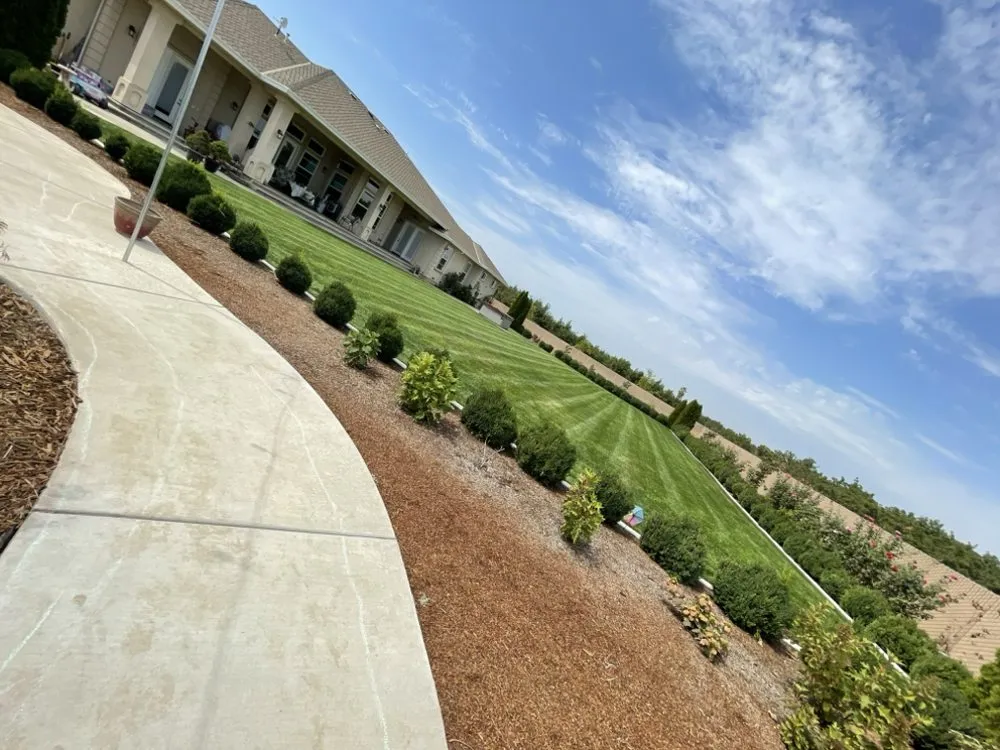 Custom outdoor landscaping for homes across Gridley, CA - REP Landscape