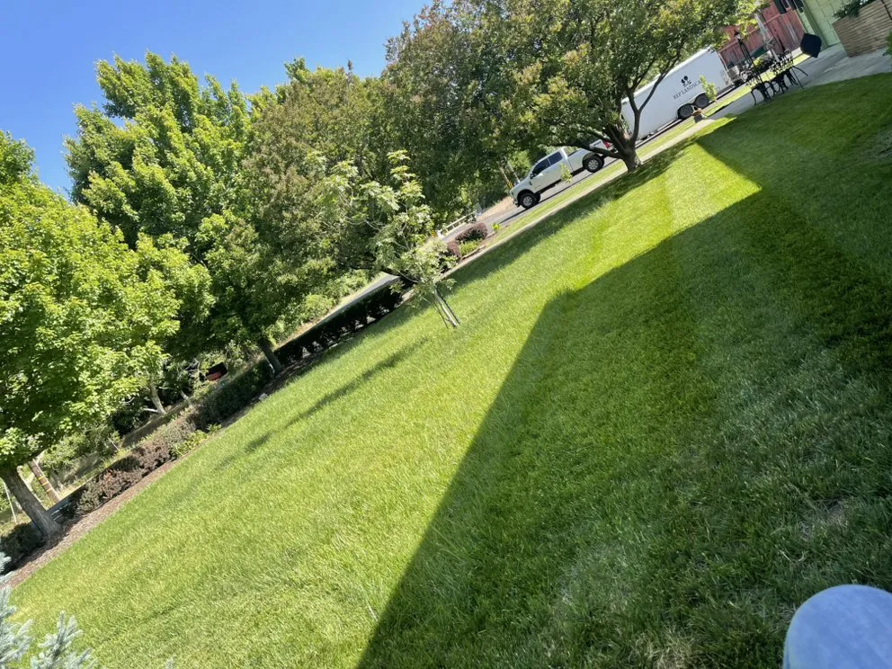 Expert yard maintenance for residential properties in Gridley, CA by REP Landscape