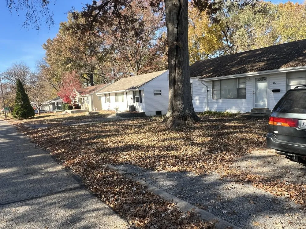 Affordable lawn mowing service experts serving Overland, MO - Repair Syndicate