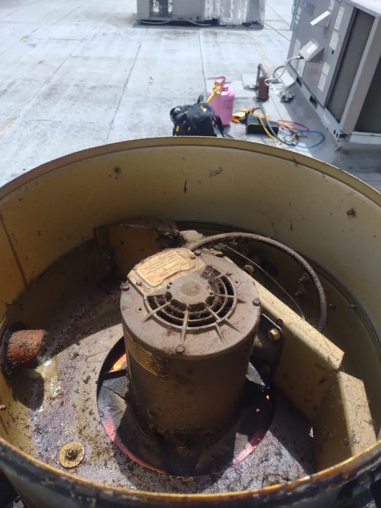 Local residential landscaping for residential properties across Sacramento, CA - Repairman Service