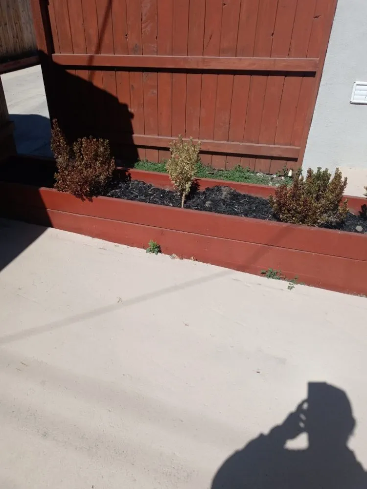 Expert outdoor landscaping experts serving Sacramento, CA - Repairman Service