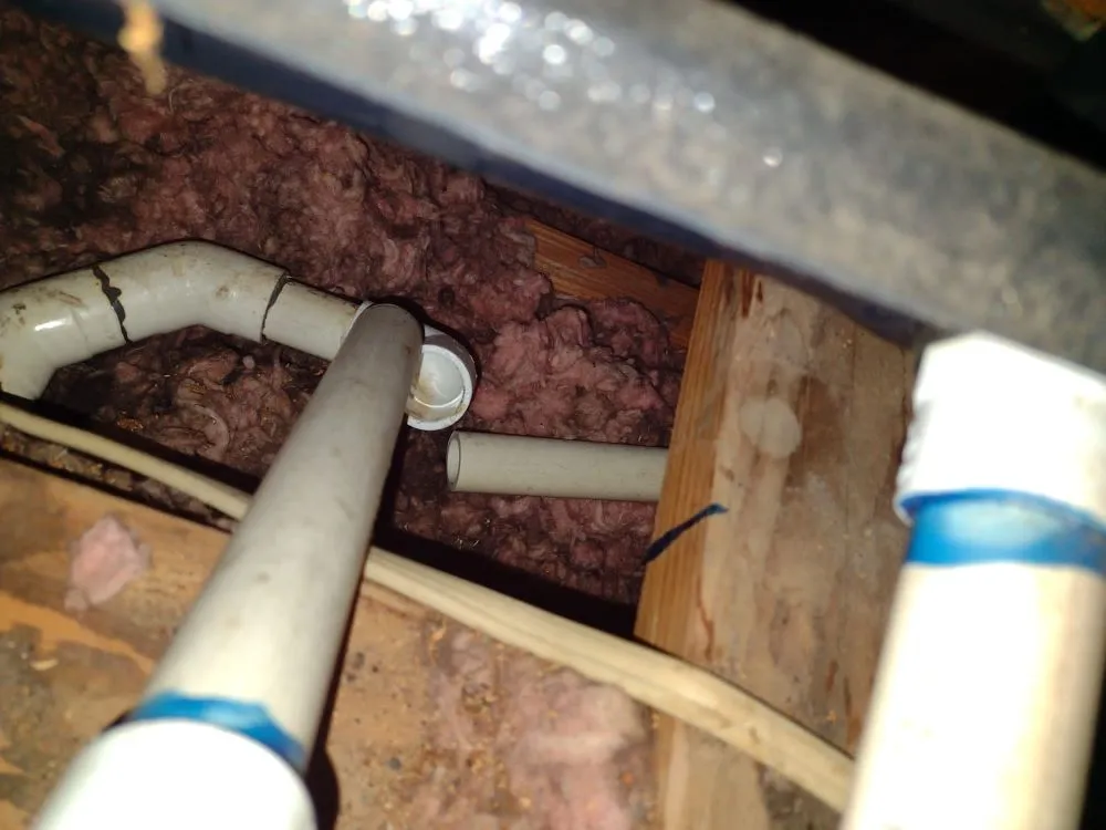 Affordable yard cleanup service in Sacramento, CA - Repairman Service