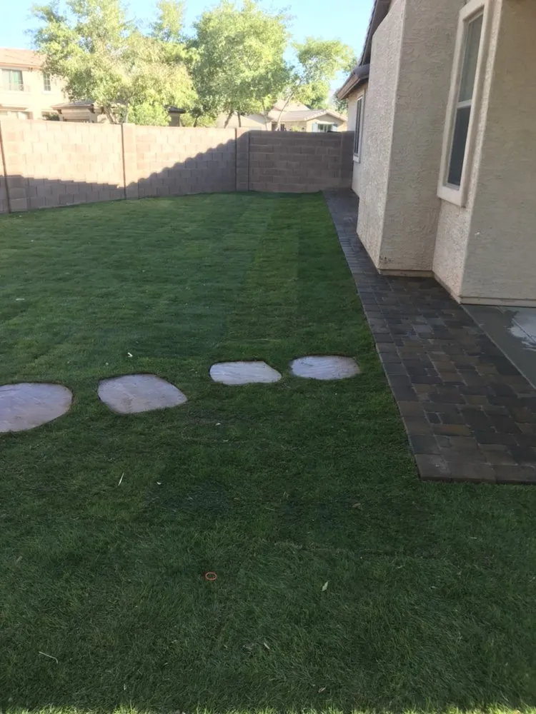 Expert lawn care service for outdoor upgrades in Glendale, AZ by Reparo Landscaping