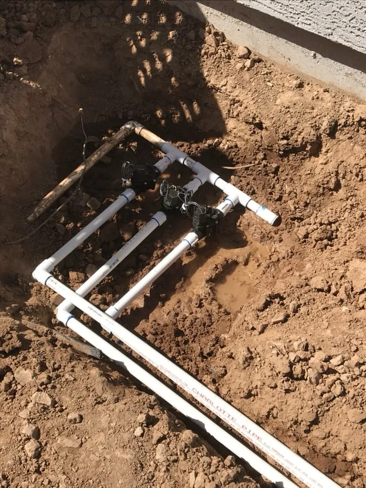 Professional outdoor landscaping experts serving Glendale, AZ - Reparo Landscaping