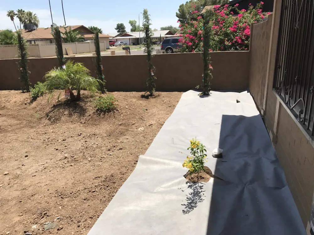 Professional outdoor landscaping in Glendale, AZ - Reparo Landscaping