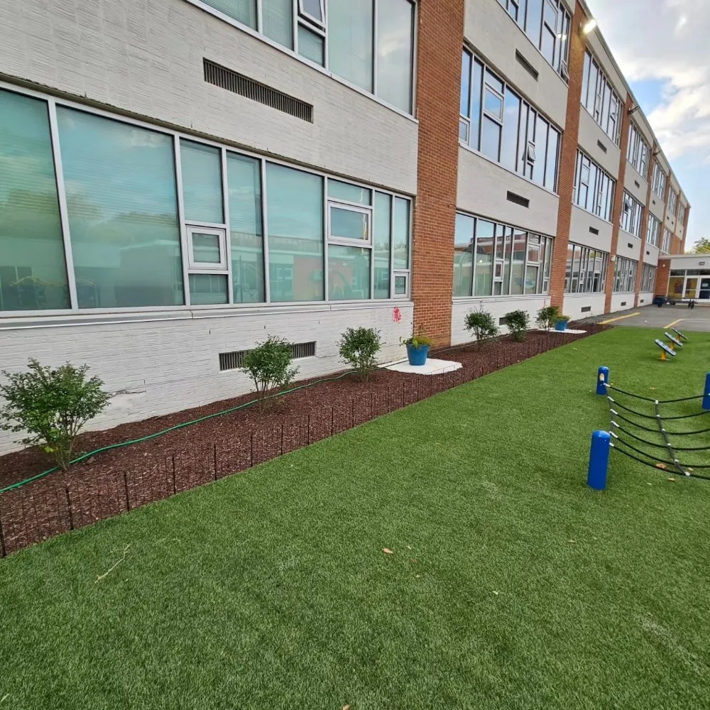 Professional landscape installation in Washington DC, DC - Replenishing Habitat's