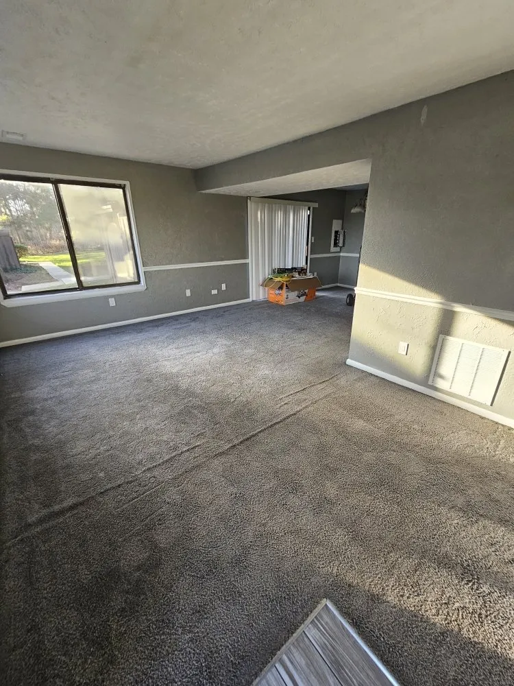 Trusted yard cleanup service in Washington DC, DC by Replenishing Habitat's