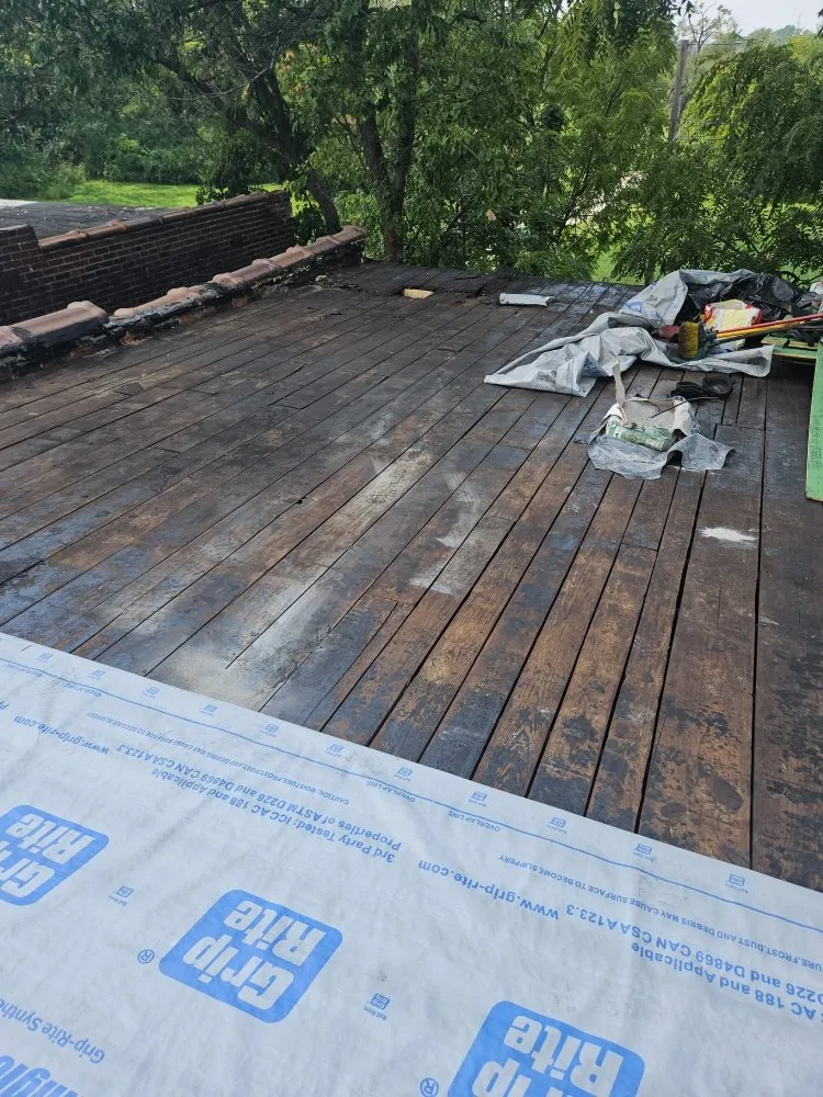 Custom landscape installation with custom design across Washington DC, DC - Replenishing Habitat's