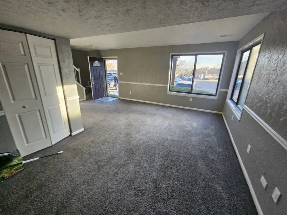 Professional yard cleanup service experts serving Washington DC, DC - Replenishing Habitat's