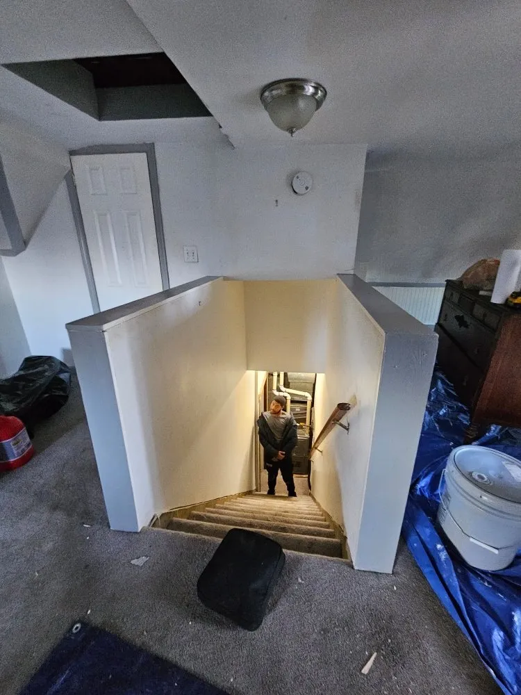 Professional garden landscaping experts serving Washington DC, DC - Replenishing Habitat's