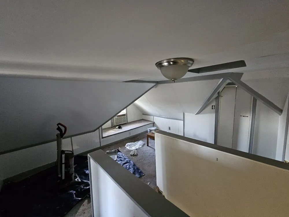 Trusted yard cleanup service in Washington DC, DC by Replenishing Habitat's