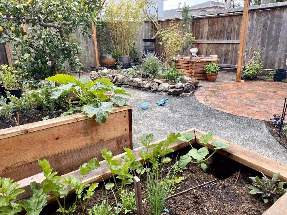 Top-rated yard cleanup service with custom design in Oakland, CA by Reppard's Landscaping