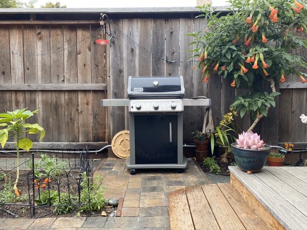 Trusted yard cleanup service for beautiful yards in Oakland, CA by Reppard's Landscaping