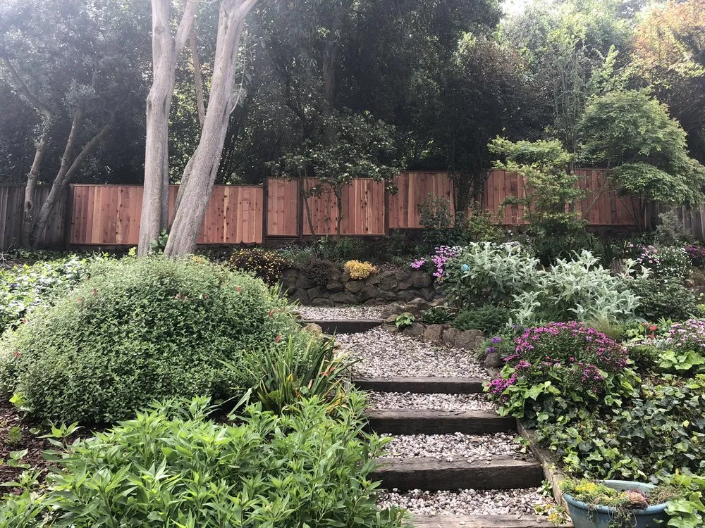 Custom lawn care service for outdoor upgrades in Oakland, CA by Reppard's Landscaping