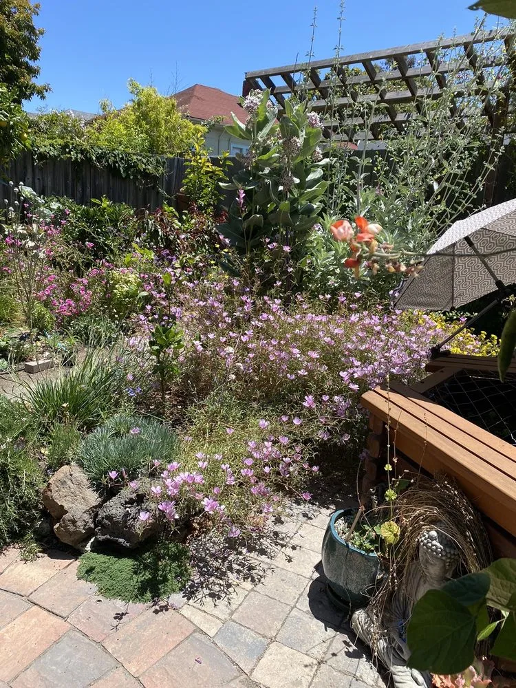 Affordable yard maintenance experts serving Oakland, CA - Reppard's Landscaping