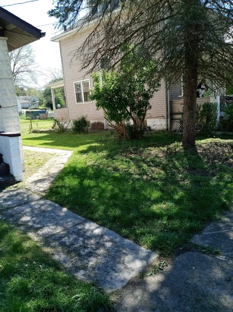 Local landscape installation experts serving New Castle, PA - Reptilian grass cutter's
