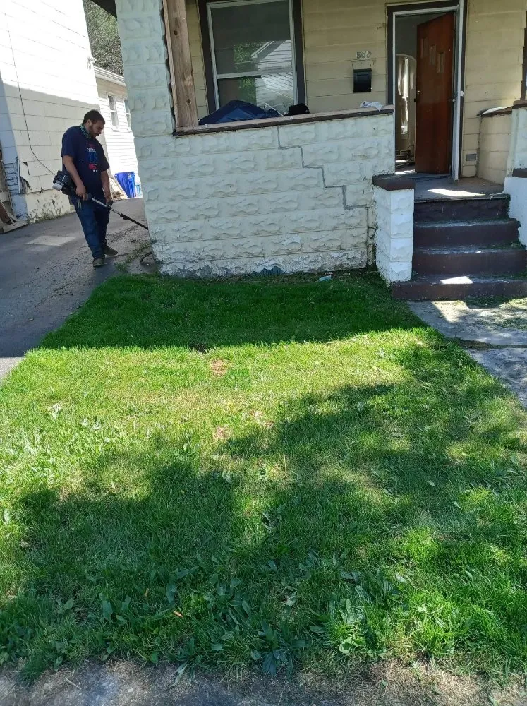 Affordable residential landscaping experts serving New Castle, PA - Reptilian grass cutter's