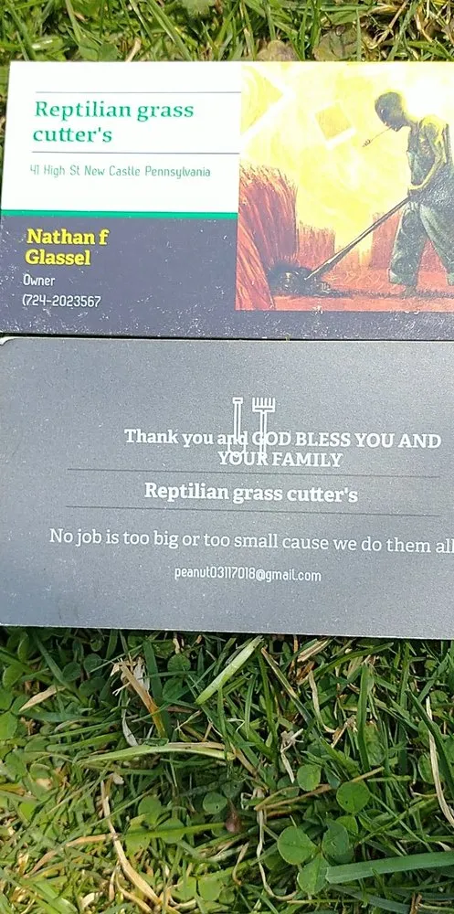 Trusted lawn care service experts serving New Castle, PA - Reptilien Grass Cutter's