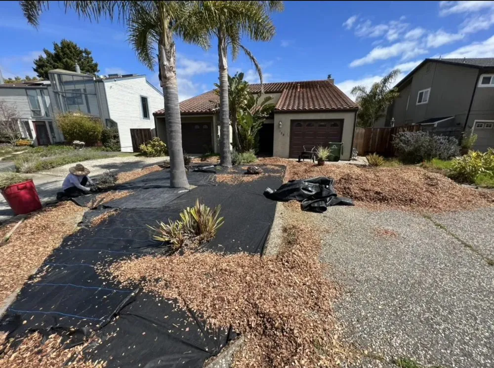 Affordable outdoor landscaping for beautiful yards in Castroville, CA by Republic Landscaping