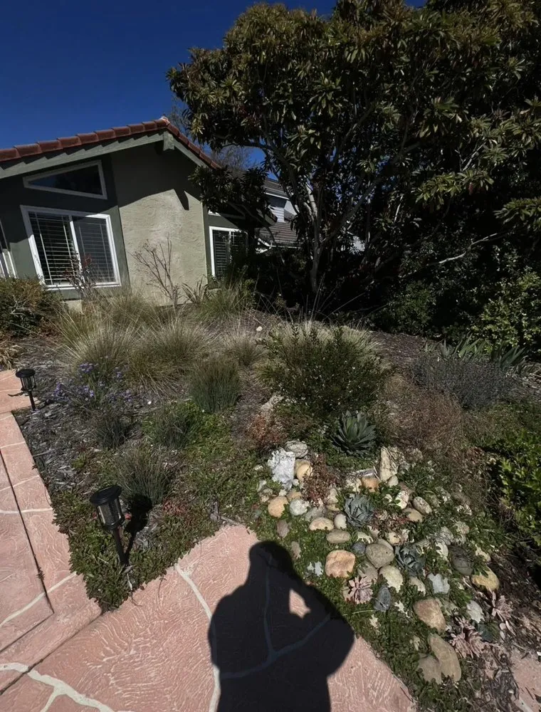 Professional lawn care service for residential properties across Castroville, CA - Republic Landscaping