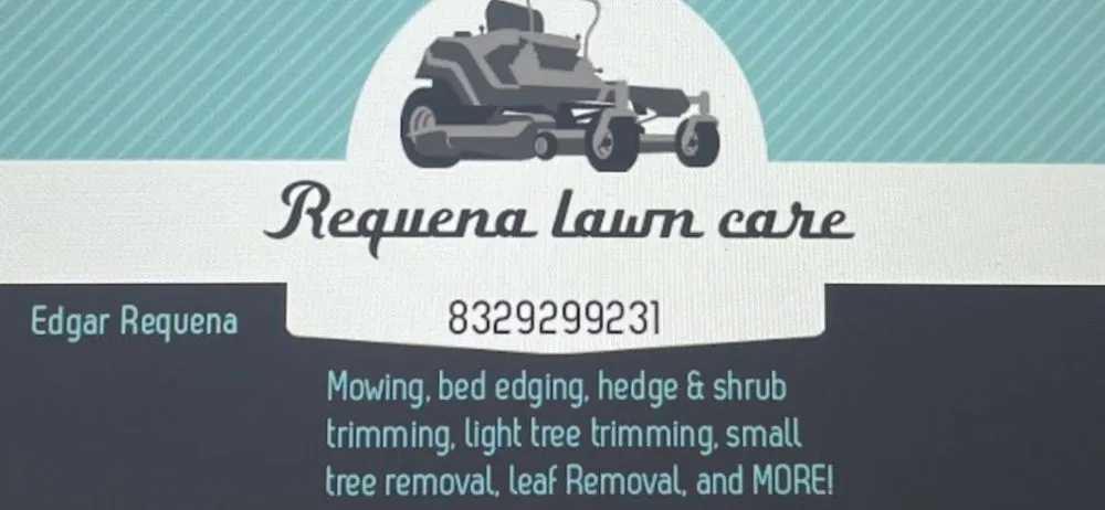 Local yard cleanup service experts serving Humble, TX - Requena's Lawn Care