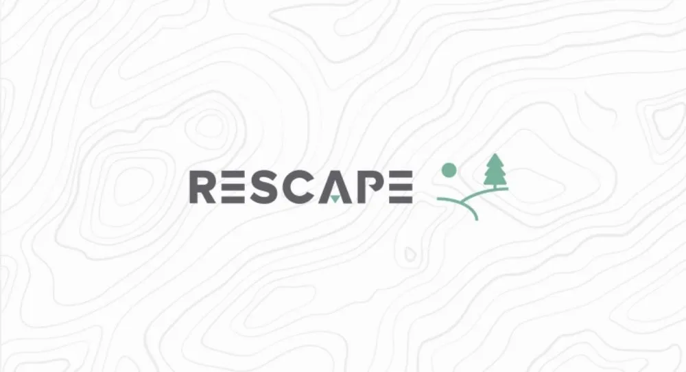 Custom landscape installation in Tampa, FL - RESCAPE LLC