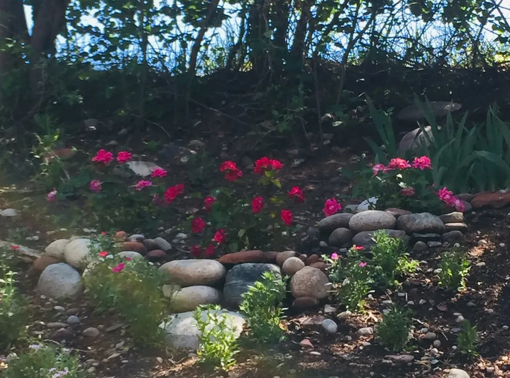 Top-rated lawn mowing service for outdoor upgrades in Basalt, CO by ReScapes