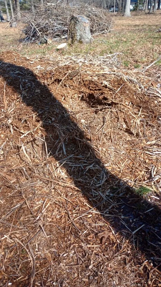 Professional landscape design for residential properties in Clay City, KY by Resch