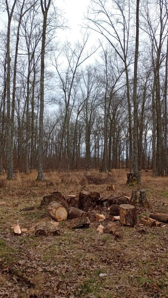 Local yard maintenance for year-round maintenance in Clay City, KY by Resch