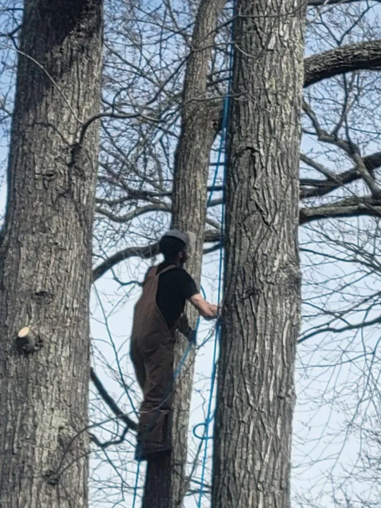 Reliable garden landscaping for year-round maintenance in Clay City, KY by Resch