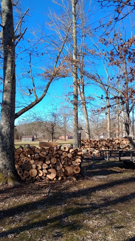 Professional lawn care service in Clay City, KY by Resch