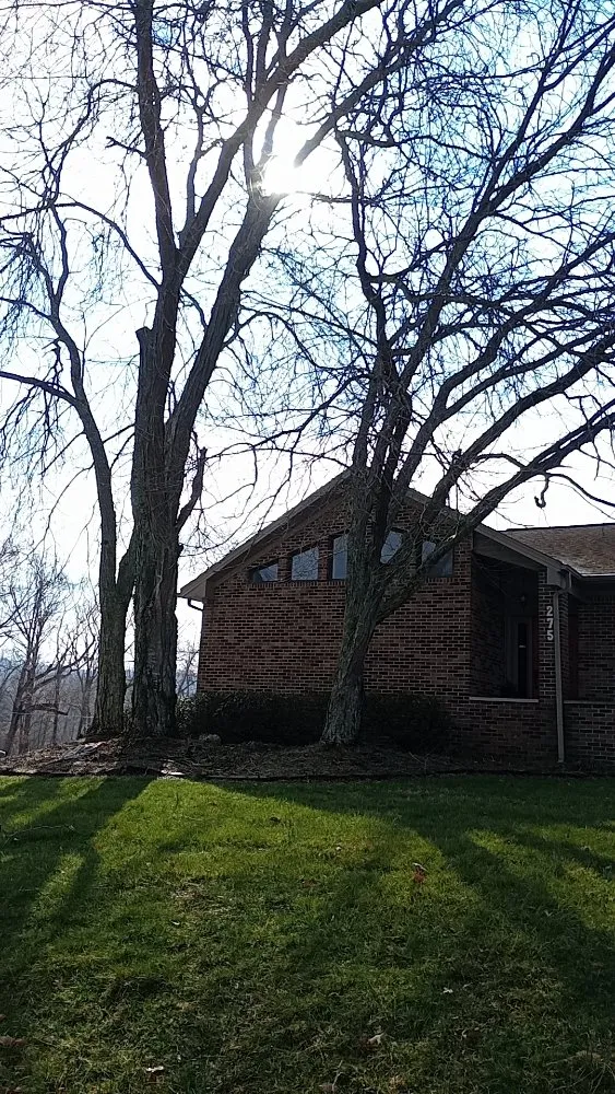 Custom yard maintenance near you in Clay City, KY by Resch