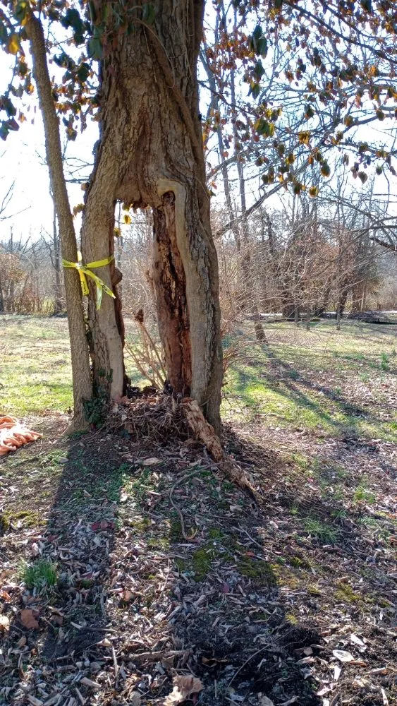 Trusted landscape design in Clay City, KY - Resch