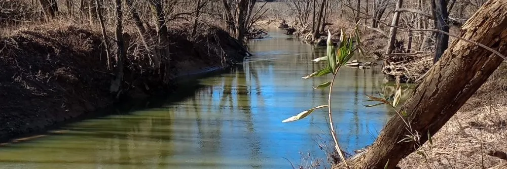 Trusted lawn mowing service for beautiful yards across Clay City, KY - Resch