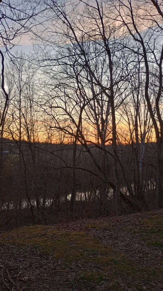 Expert lawn care service near you in Clay City, KY by Resch