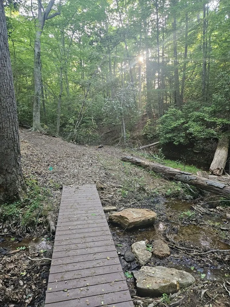 Reliable yard maintenance in Marietta, SC - Rescue Grading & Landscaping