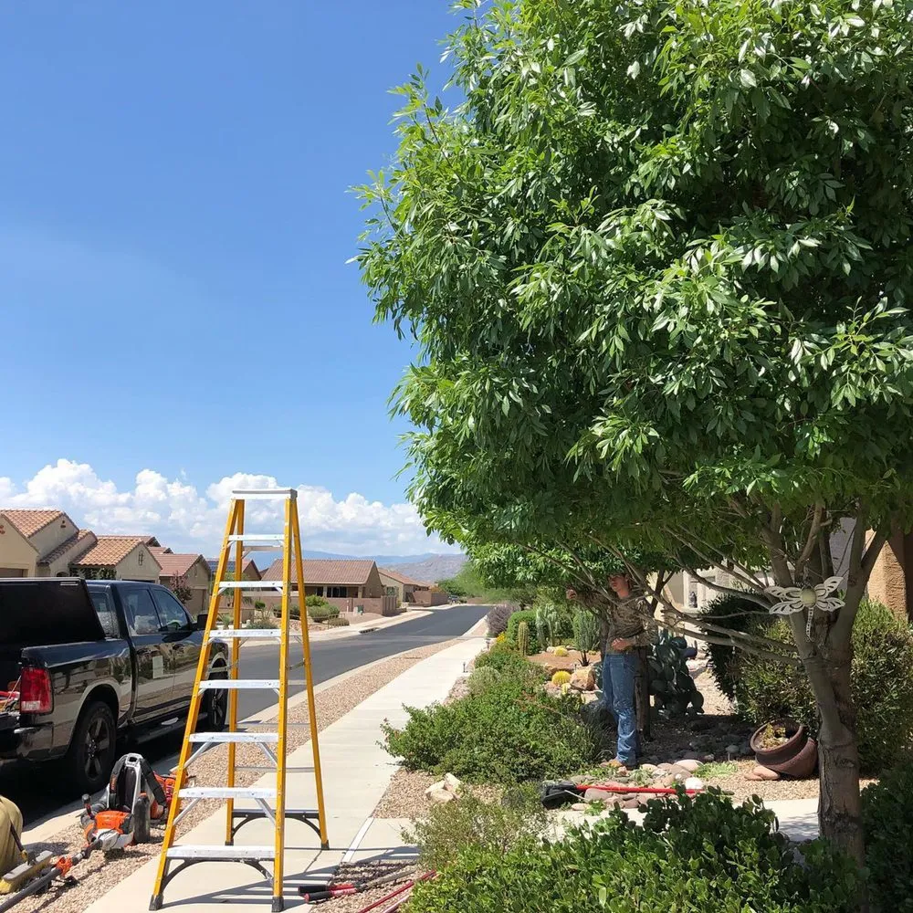 Top-rated outdoor landscaping in Vail, AZ - Rescue Groundskeeping