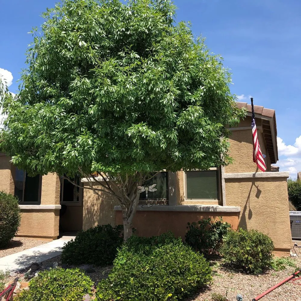 Top-rated garden landscaping in Vail, AZ by Rescue Groundskeeping