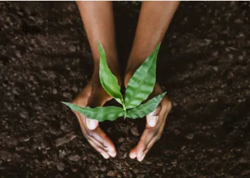 Expert residential landscaping for homes in Savannah, GA by Rescue Home Improvement Service