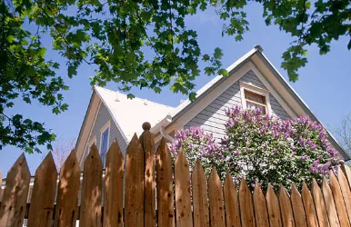 Reliable outdoor landscaping in Savannah, GA - Rescue Home Improvement Service