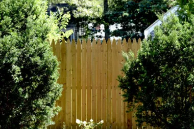 Affordable landscaping services in Savannah, GA by Rescue Home Improvement Service