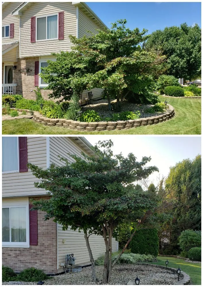 Reliable garden landscaping in Joliet, IL by Rescue Landscape