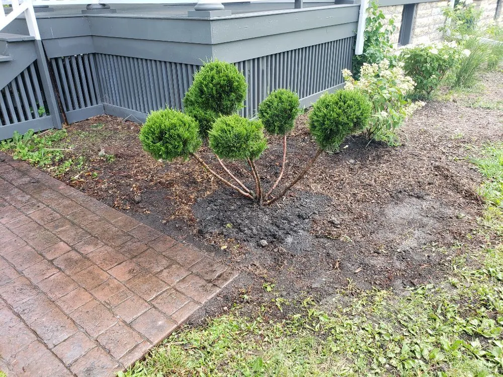 Top-rated yard maintenance for beautiful yards across Joliet, IL - Rescue Landscape