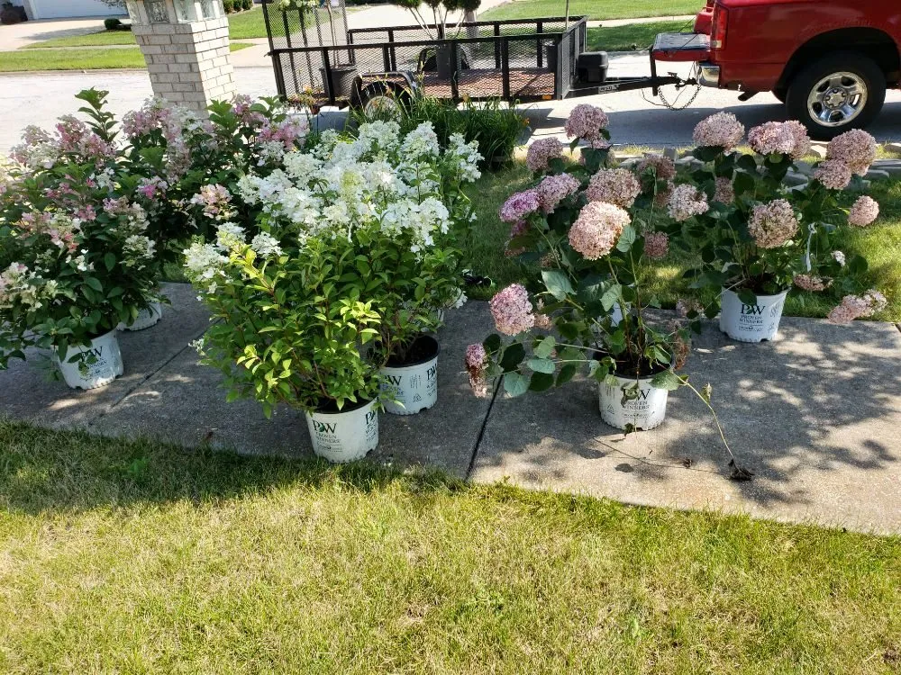 Trusted lawn mowing service in Joliet, IL - Rescue Landscape