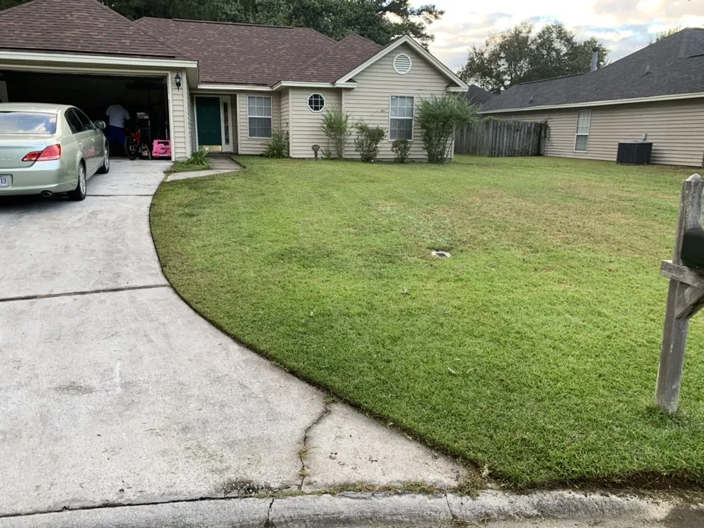 Local landscape design in Savannah, GA by Rescue Landscaping