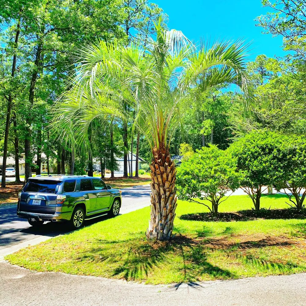 Trusted lawn care service experts serving Savannah, GA - Rescue Landscaping