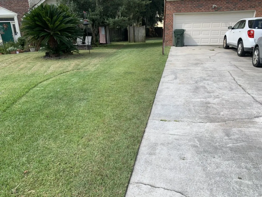 Expert landscaping services for year-round maintenance in Savannah, GA by Rescue Landscaping